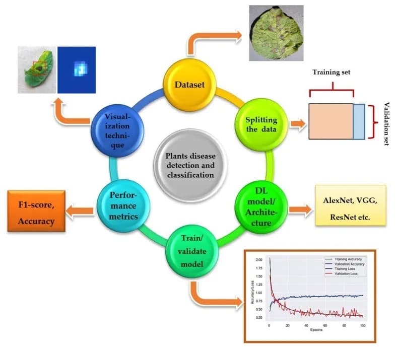 Deep Learning Based Detection and Classification of Tobacco Leaf Diseases  Using Convolutional neural networks