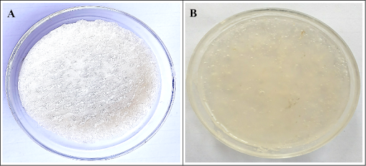 Self-Assembled Organic Aerogel and Sponges for Rapid and Effective Absorption of Oil from Oil- Contaminated Soil Samples