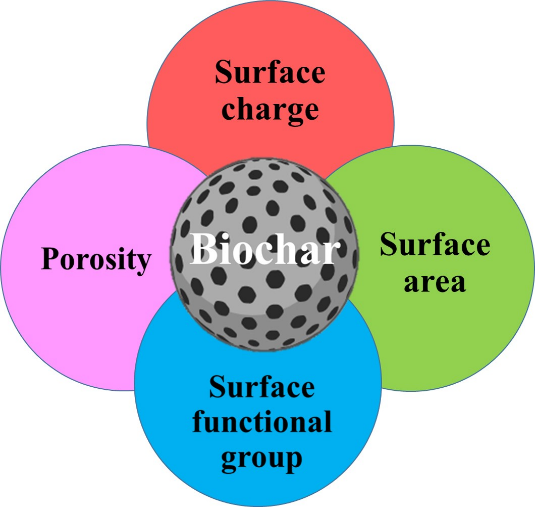 Efficient Dye Removal Strategies: Exploring the Role of Biochar