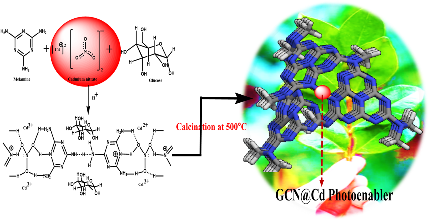 Newly Designed Cutting-Edge GCN@Cd Nanocomposite Catalyst Drives Ultra-Selective Organic Transformations under Solar Light 