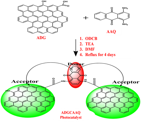 Unlocking the Power of Solar Synergy: Enhanced Nitrophenol Degradation using ADGCAAQ Photocatalyst