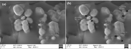 Synthesis and Antibacterial Properties of Silver Nanoparticles Derived from Cardiospermum halicacabum Leaves