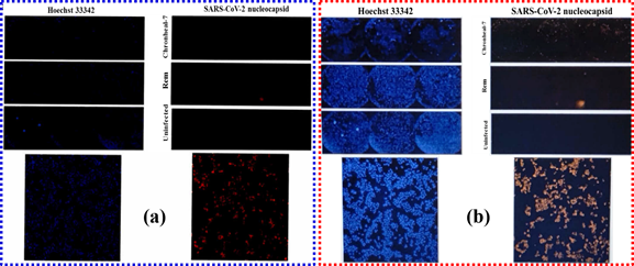 Analysis and Impact of Formulated Herbal Medicine Against COVID-19 and Other Viral Infections