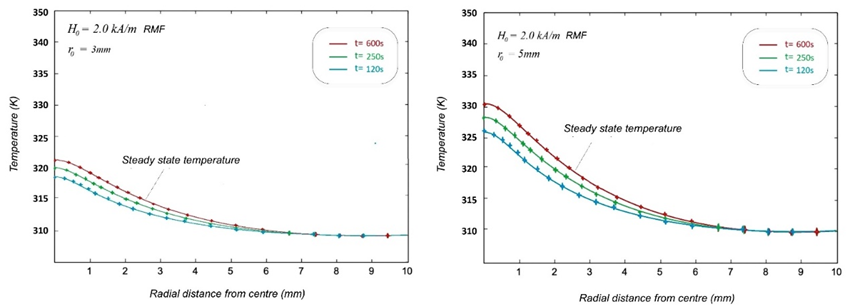 Magnetic Nanoparticles in Cancer Thermotherapy: A Mathematical Approach to Optimal Treatment Design