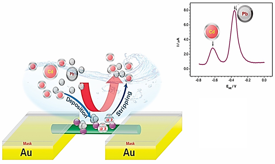 Selective Recognition of Lead and Cadmium in Potable Water Using Single Polypyrrole Nanowire Decorated with Cobalt Oxide Nanoparticles Electrode