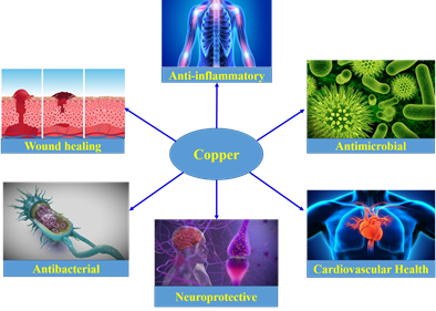 Balancing the Essentiality and Genotoxicity of Copper: A Review