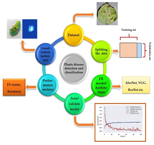 Deep Learning Based Detection and Classification of Tobacco Leaf Diseases Using Convolutional neural networks   