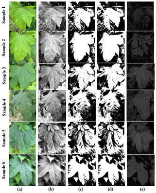 Enhanced Image–Based Detection and Segmentation of Plant Leaf Diseases Using Grayscale Conversion and Thresholding Techniques   