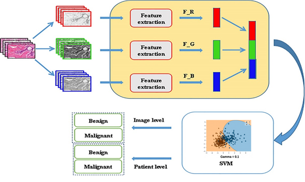 Enhanced Breast Cancer Classification from Histopathological Images Using Integrated SVM and CNN Frameworks