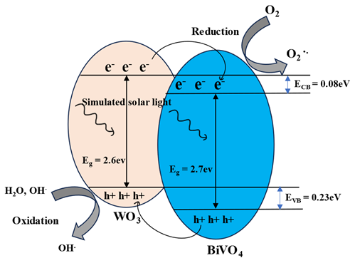 Exploring the BiVO4/WO3 Hybrid System for Enhanced Photocatalytic Degradation and Hydrogen Evolution Reaction (HER)    