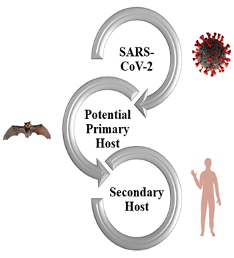 A Review on SARS CoV–2: History, Origin, Morphology, and the Predicted Strategy to Control the Pandemic through Metals and Metal–Based Compounds