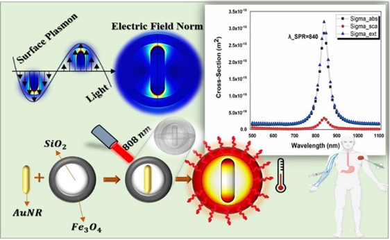 Computational Design and Thermal Properties of Reverse Hybrid Core–Shell Nanoparticles for Photothermal Therapy Applications