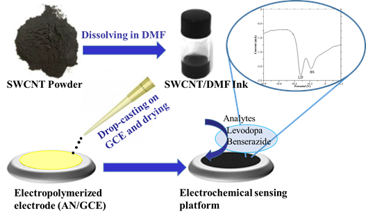 Highly Selective and Sensitive Electrochemical Detection of Levodopa and Benserazide Using SWCNT–Modified Polyaniline–Based Sensor