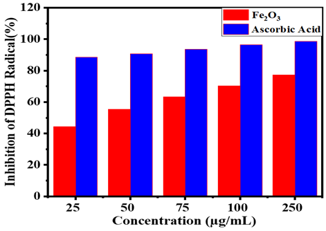 Synthesis of Fe₂O₃ Nanoparticles from Red Soil: Characterization and Evaluation of Antimicrobial and Antioxidant Potential