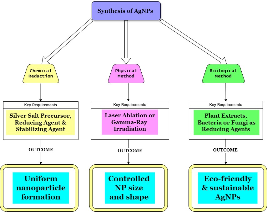 Genotoxicity of Silver Nanoparticles: Mechanisms, Implications, and Future Perspectives for Human and Environmental Health